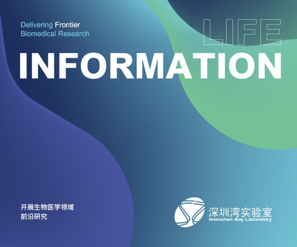 2025年品牌設(shè)計趨勢指南：上海平面設(shè)計師都應(yīng)該了解的關(guān)鍵趨勢