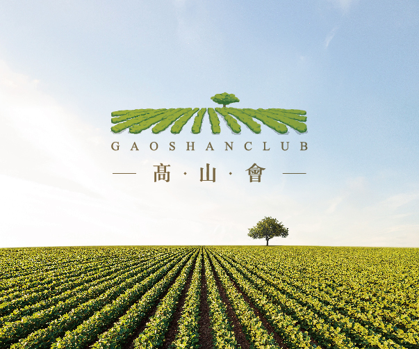 茶類包裝設(shè)計(jì)中的可視層次和視覺(jué)重點(diǎn)