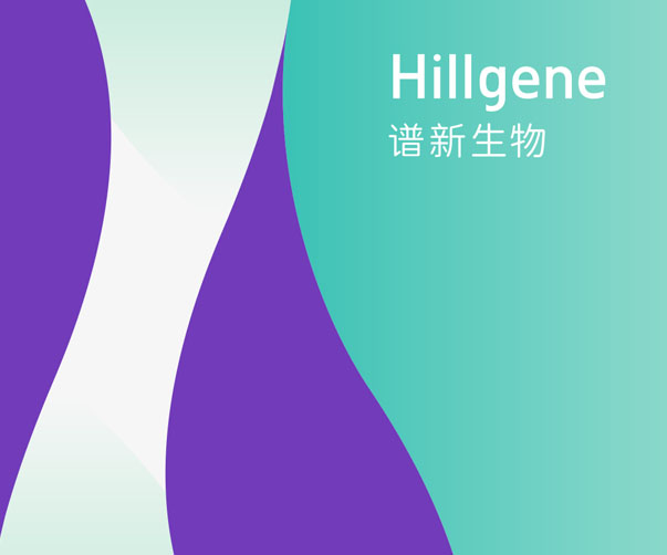 VI形象設(shè)計(jì)中的視覺(jué)平衡和視覺(jué)沖擊